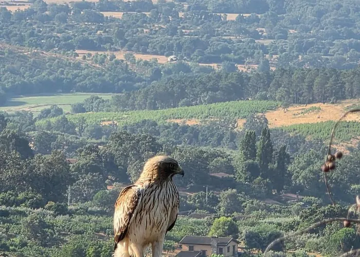 Almavera Casa Pura Calma Lägenhet Madrigal de la Vera